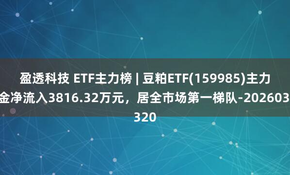 盈透科技 ETF主力榜 | 豆粕ETF(159985)主力资金净流入3816.32万元，居全市场第一梯队-20260320