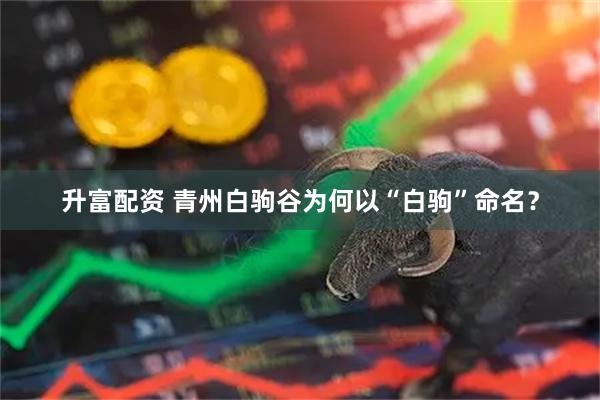 升富配资 青州白驹谷为何以“白驹”命名?